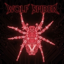 WOLF SPIDER - V