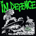 IN DEFENCE - Party Lines And Politics