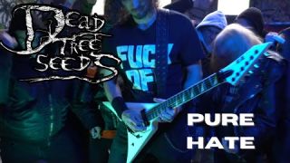 Dead Tree Seeds - Pure Hate (OFFICIAL VIDEO)